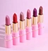 Cosmetics Lipstics Matte Waterproof Lipstick