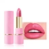 Matte Waterproof Lipstick