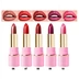 Cosmetics Lipstics Matte Waterproof Lipstick